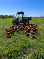 Pasture-Raised, Regeneratively Raised Chicken Thighs