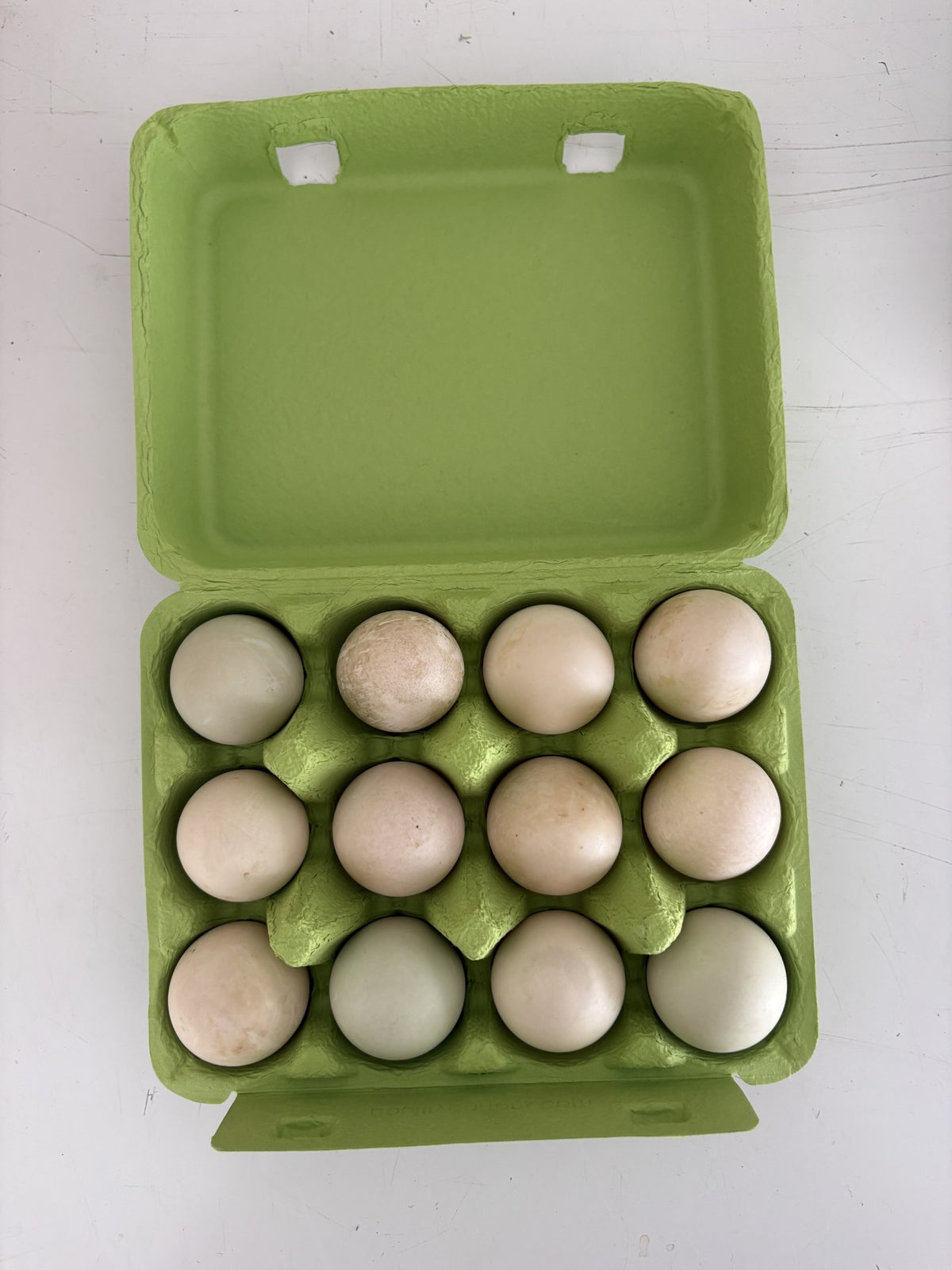 Pasture-Raised Duck Eggs – Dozen (Organic Feed, Corn & Soy-Free)